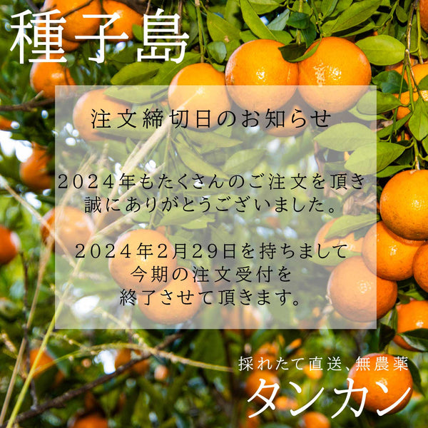 --注文受付締切日のお知らせ--