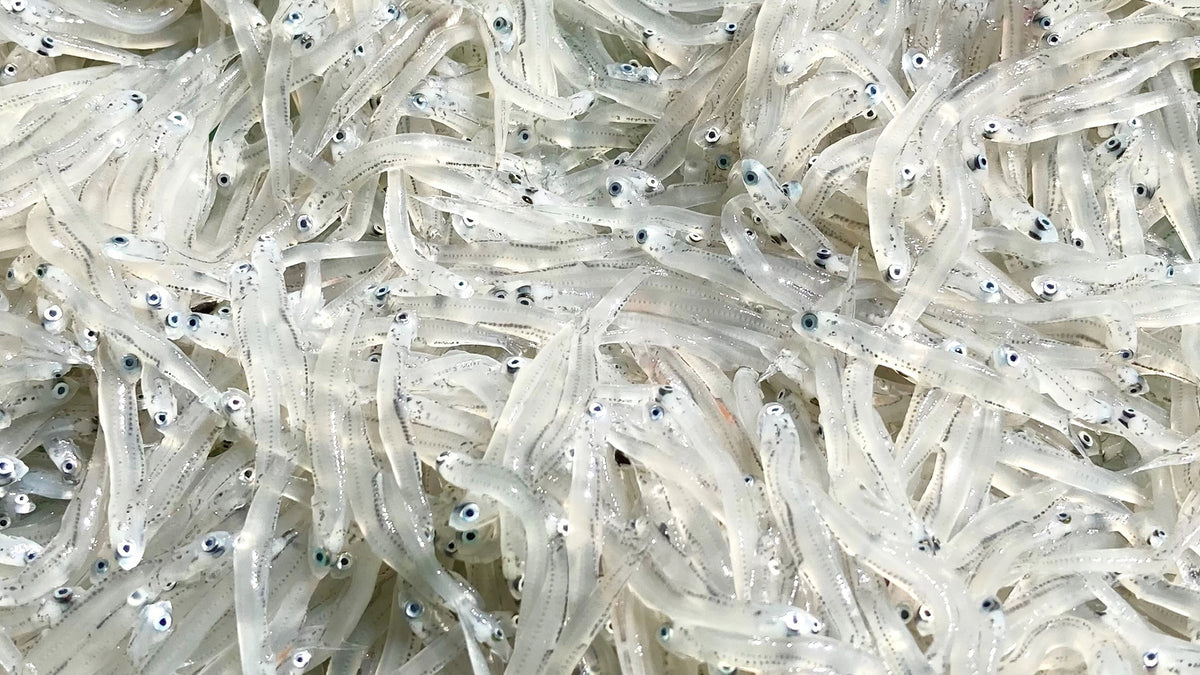 S1000012_main_01_f50d5c20-c79f